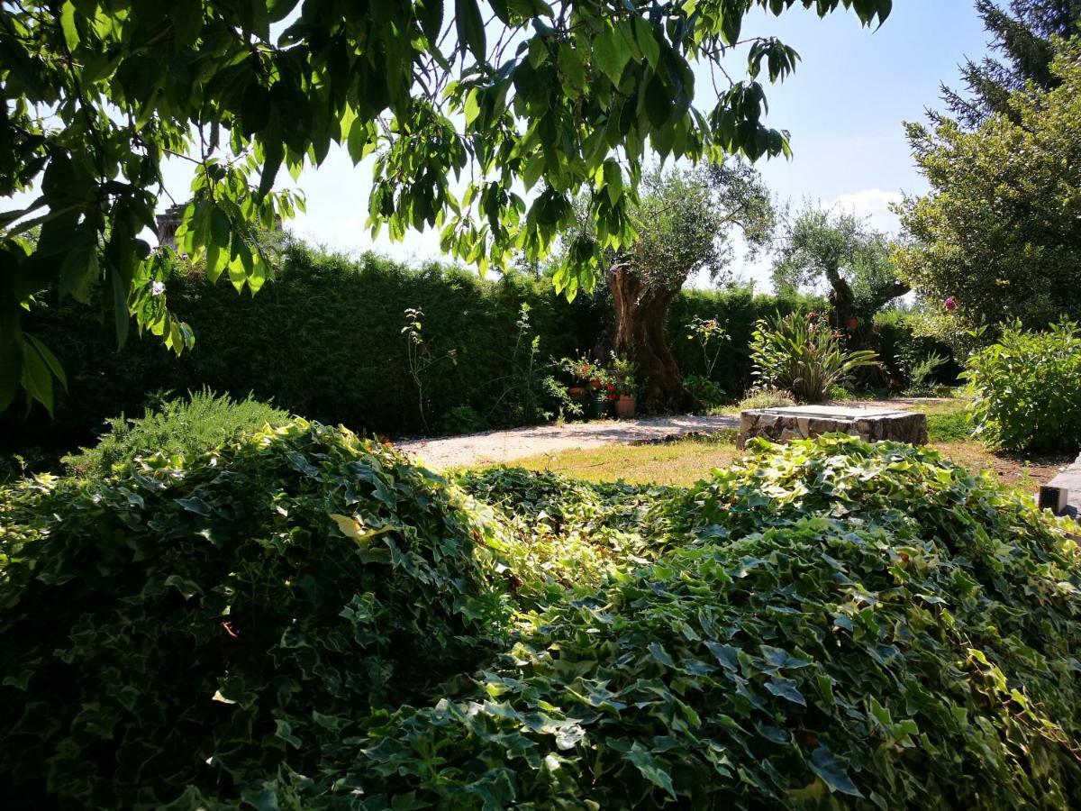 A Casa Da Fonte Villa Alviobeira Eksteriør bilde